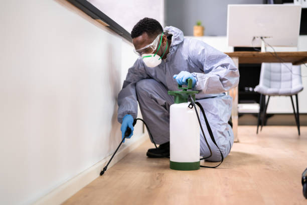 Best Pest Control for Multi-Family Homes  in Payson, AZ